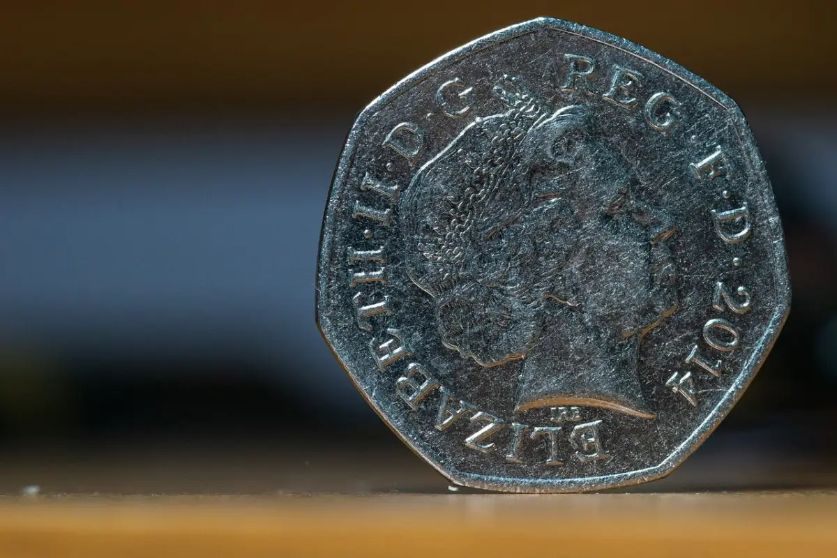 Immagine selezionata